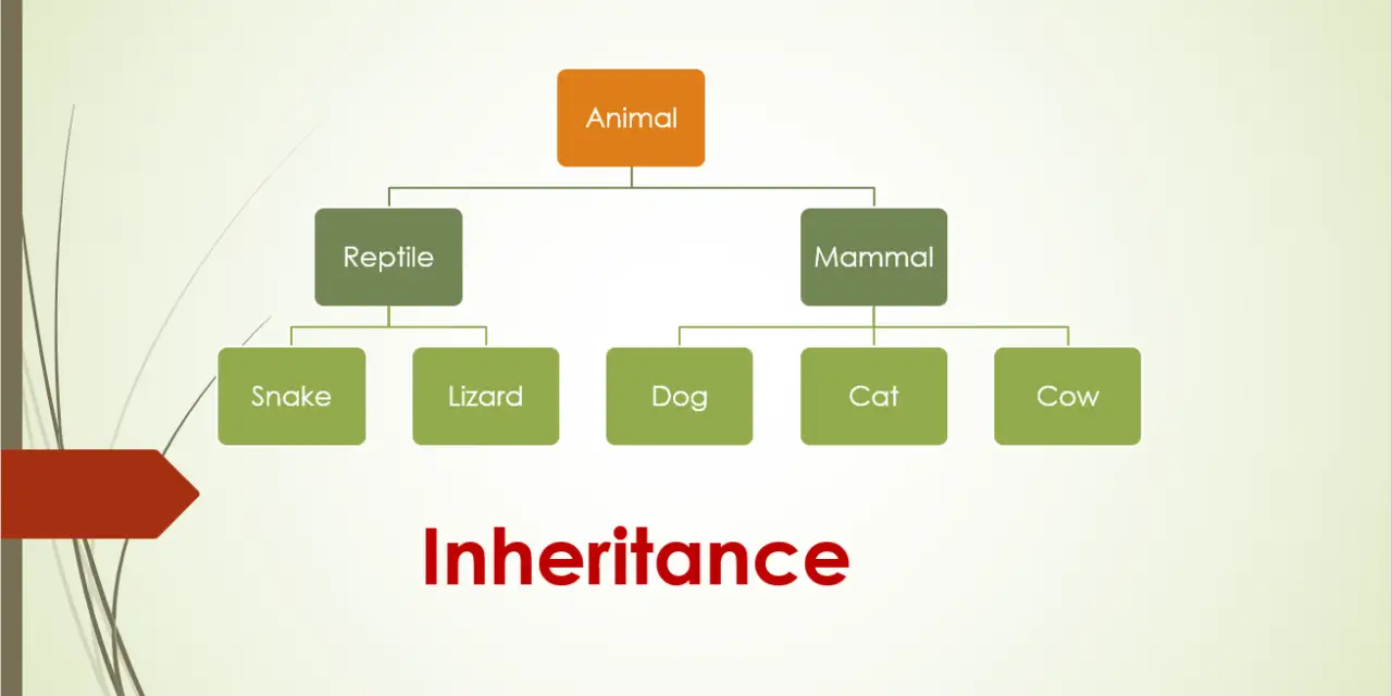 C++ program to demonstrate Inheritance