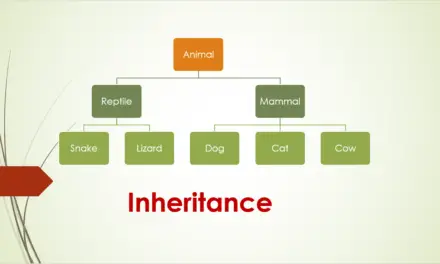 C++ program to demonstrate Inheritance
