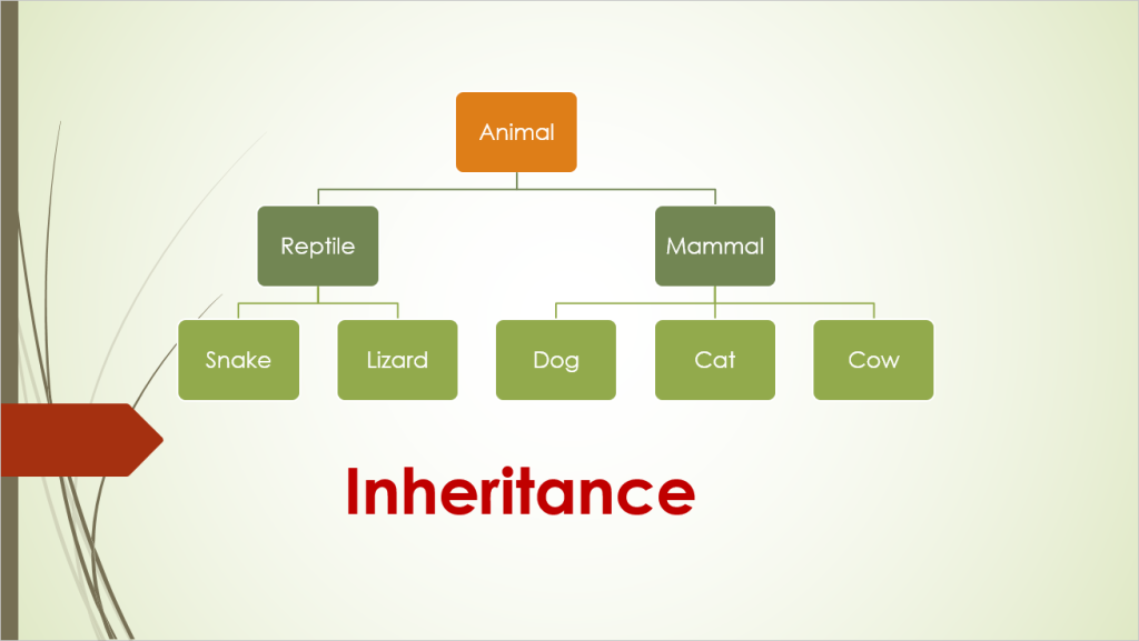 C++ Inheritance