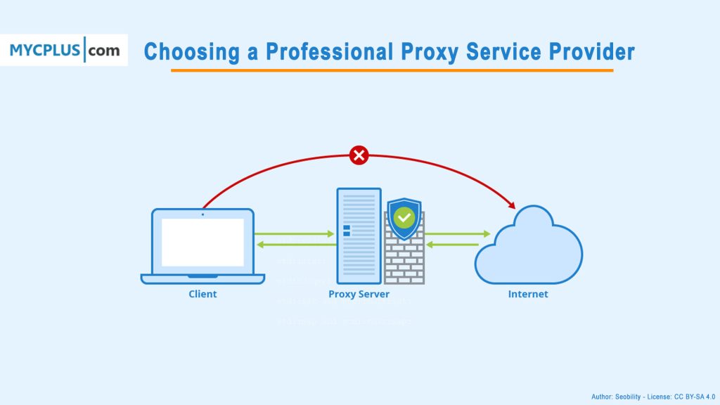 Choosing a Professional Proxy Service Provider